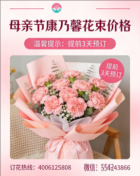 玉林北流市花店母亲节康乃馨花束