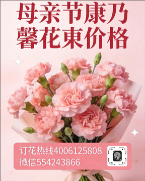 玉林北流市花店母亲节康乃馨花束
